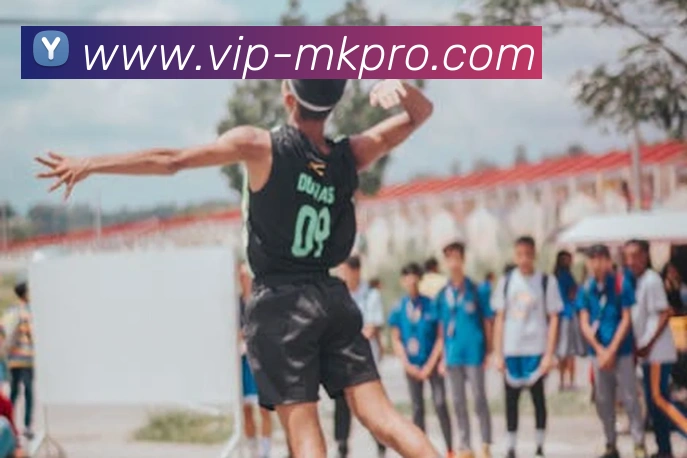 App Interface Preview