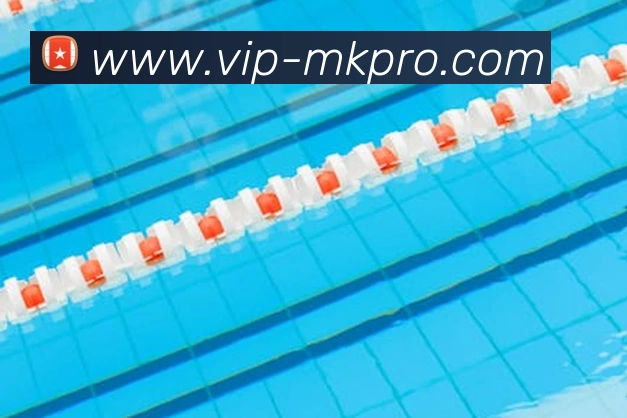 MK体育官方中心APP 封面图